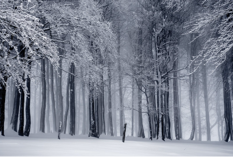 GA黄金甲-葡萄牙队是否还渴望C罗的最后一舞？